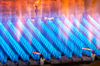 Billesdon gas fired boilers